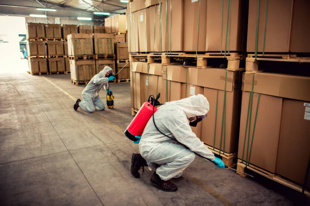 Best Emergency Pest Control  in Kirtland, OH