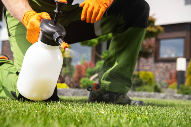 Best Pest Prevention Services  in Kirtland, OH