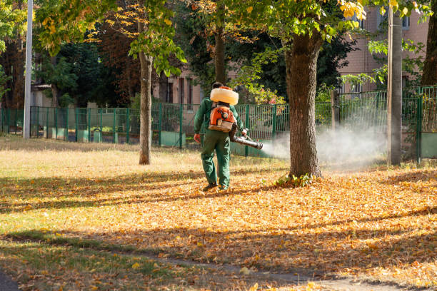 Pest Control for Restaurants in Kirtland, OH