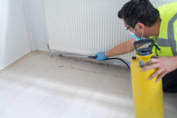 Best Mosquito Control Services  in Kirtland, OH