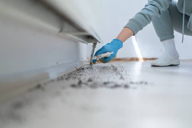 Best Cockroach Control Services  in Kirtland, OH