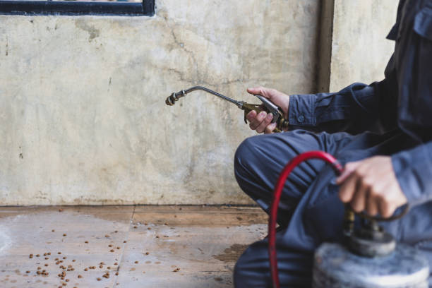 Professional Pest Control in Kirtland, OH